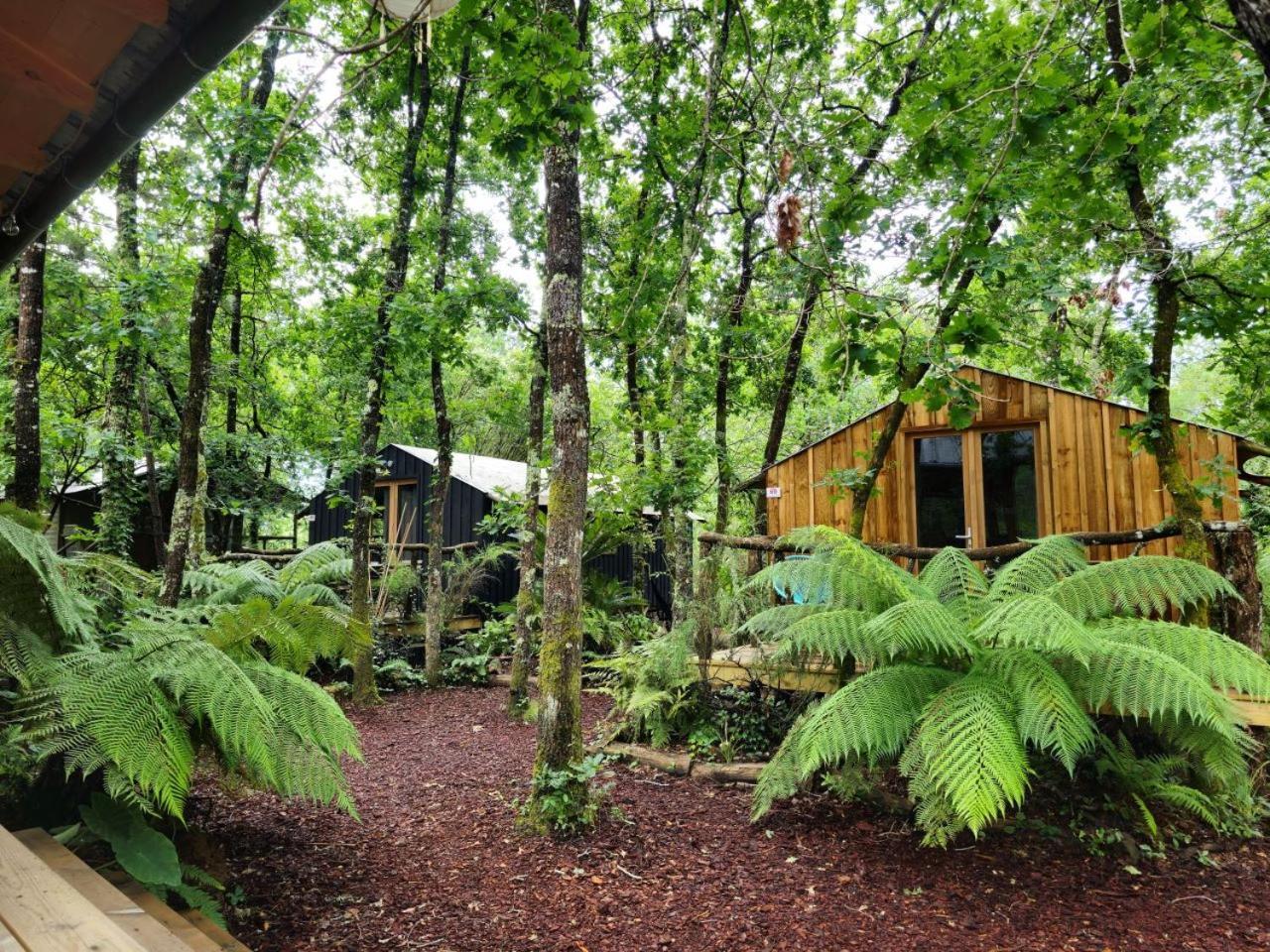 Camping Aux Couleurs Du Ferret Lège-Cap-Ferret Kültér fotó
