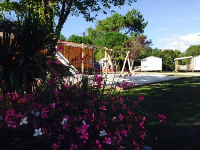 Camping Aux Couleurs Du Ferret Lège-Cap-Ferret Kültér fotó